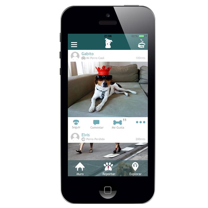 wof_app-portada