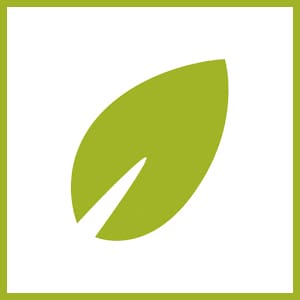 khan-academy