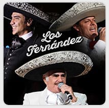 los-fernandez