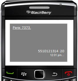 pasatiempo-sms