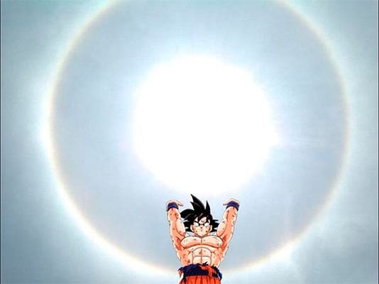 halo-goku