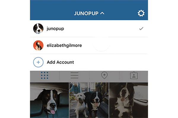 Múltiples cuentas en Instagram