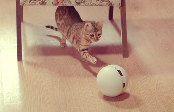 lg-rolling-bot-5