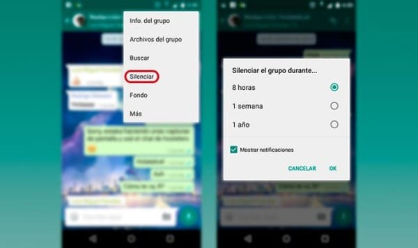 silenciar whatsapp