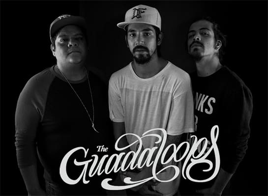 guadaloops