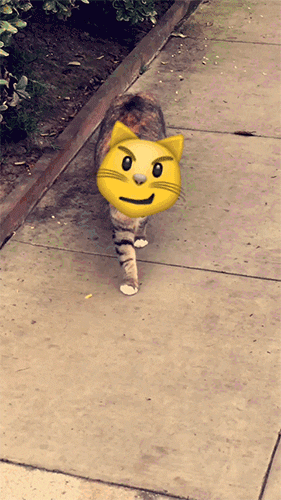 snapchat-gif-2-ok
