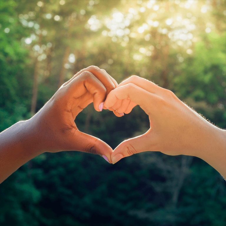 Día de las Naciones Unidas