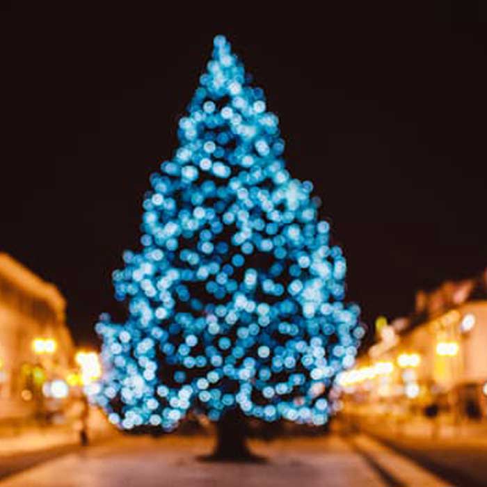 modo-navidad