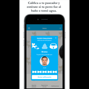 paseadores de perros