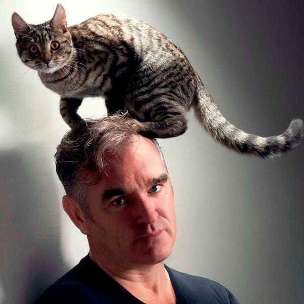 Morrissey