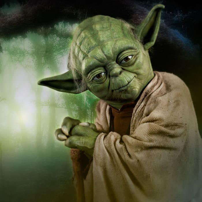 Yoda maestros