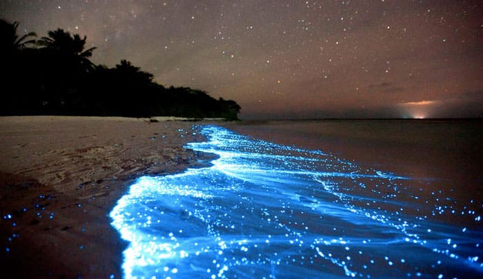 Media ambiente Playas Las Maldivas