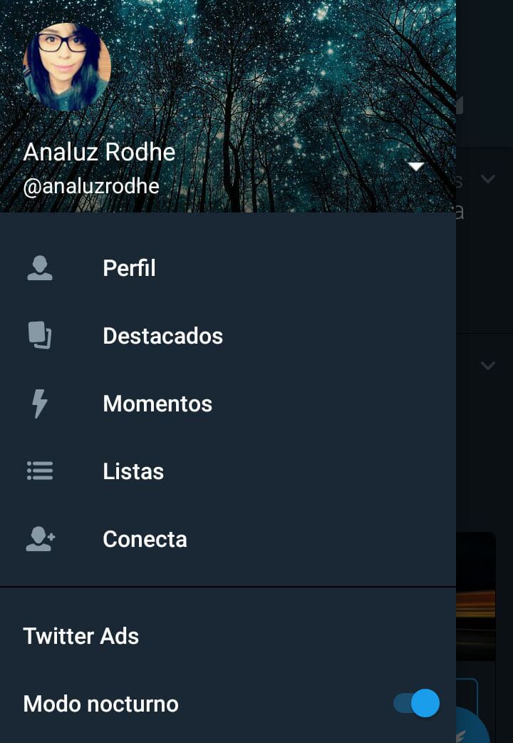 Twitter modo nocturno