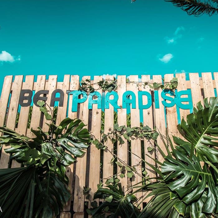beat paradise