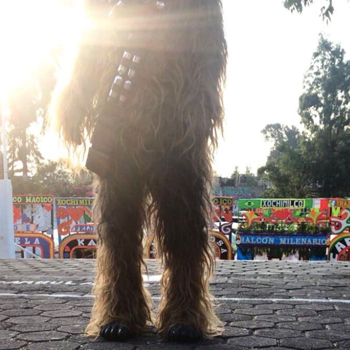 Chewbacca