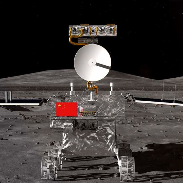 Así se ve la primera planta de algodón cultivada en la Luna