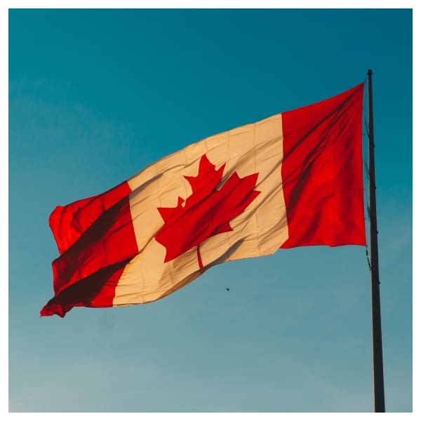 Profesiones para triunfar en Canadá.