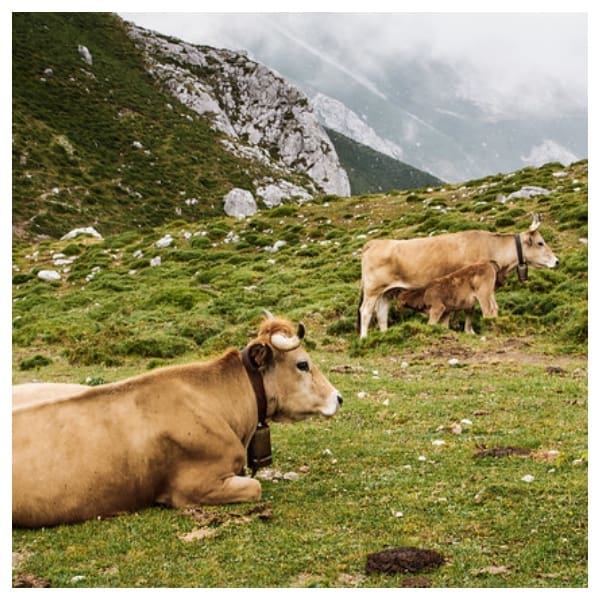 Profesiones para triunfar en Canadá.