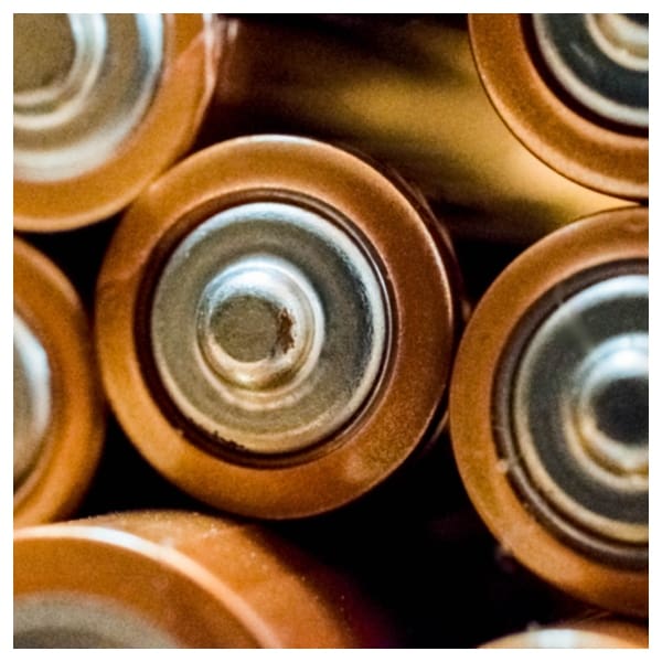 Formas para ayudar al planeta en este Día de la Tierra. 