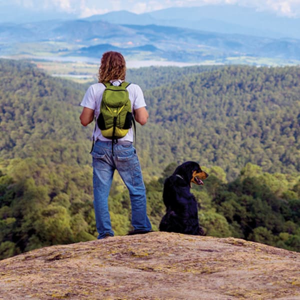 perro_jalisco_semana_santa