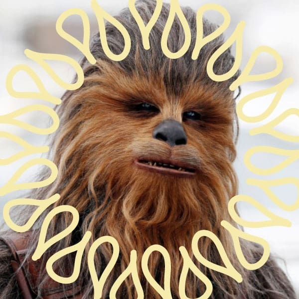chewbacca
