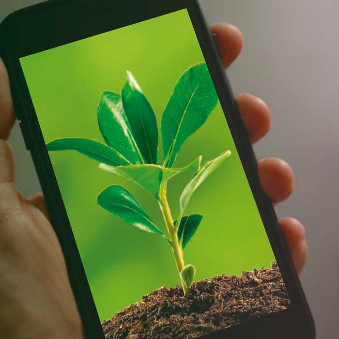 Cuidar el medio ambiente desde tu celular