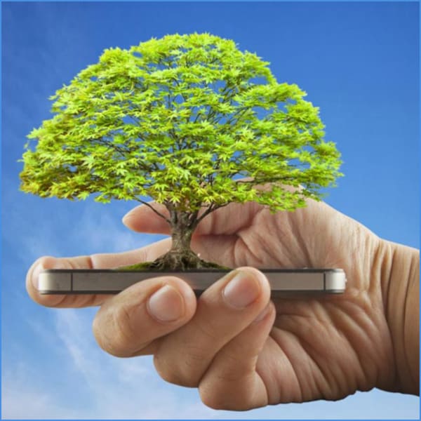 ecosia cuidar el medio ambiente desde tu celular