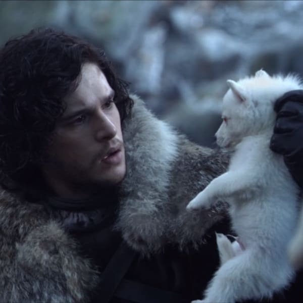 ghost bebe en game of thrones