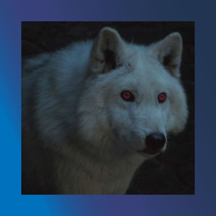 ghost-game-of-thrones