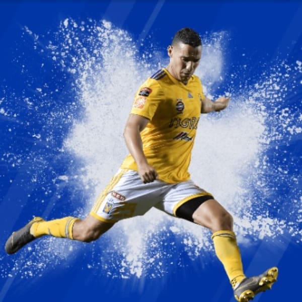 tigres en el clasico regio