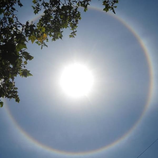 Halo Solar