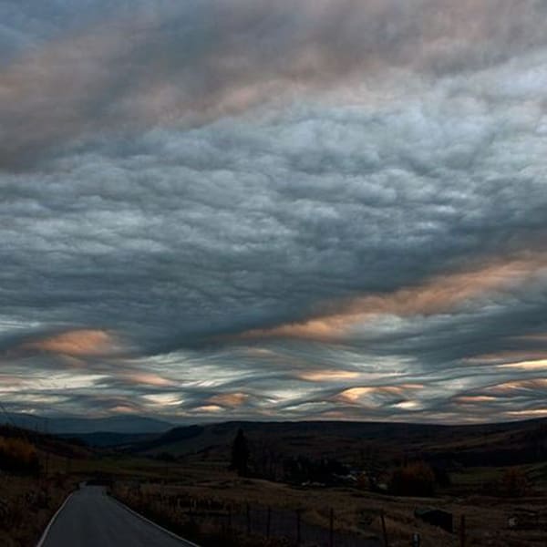 Nubes asperatus