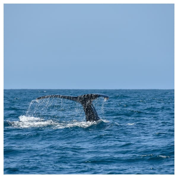 Lugares para visitar en graduación.