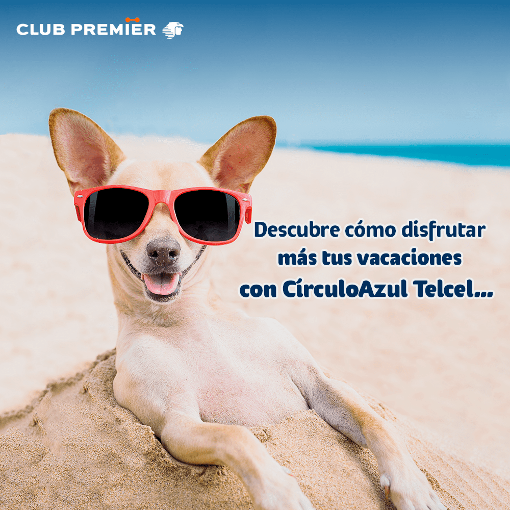 Tips vacaciones verano 