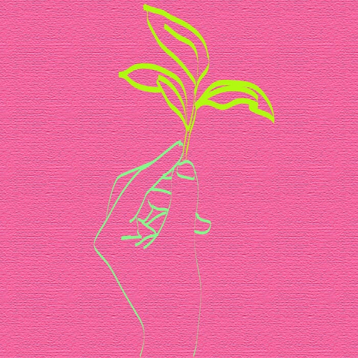 ecoretos cuidar el planeta