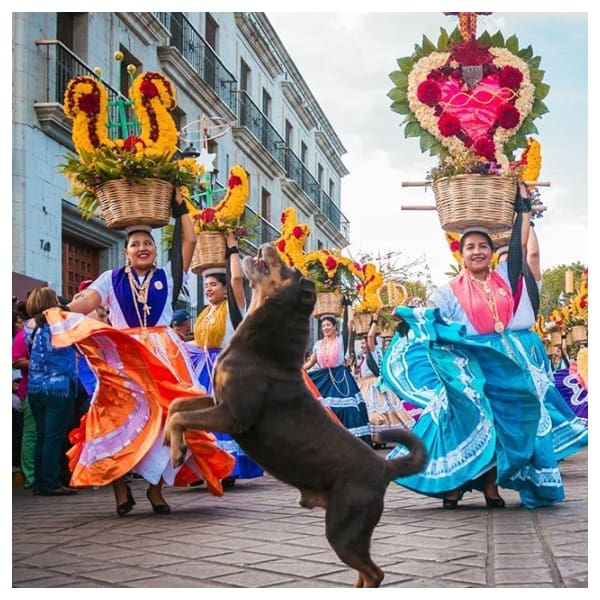 Razones para visitar la Guelaguetza.