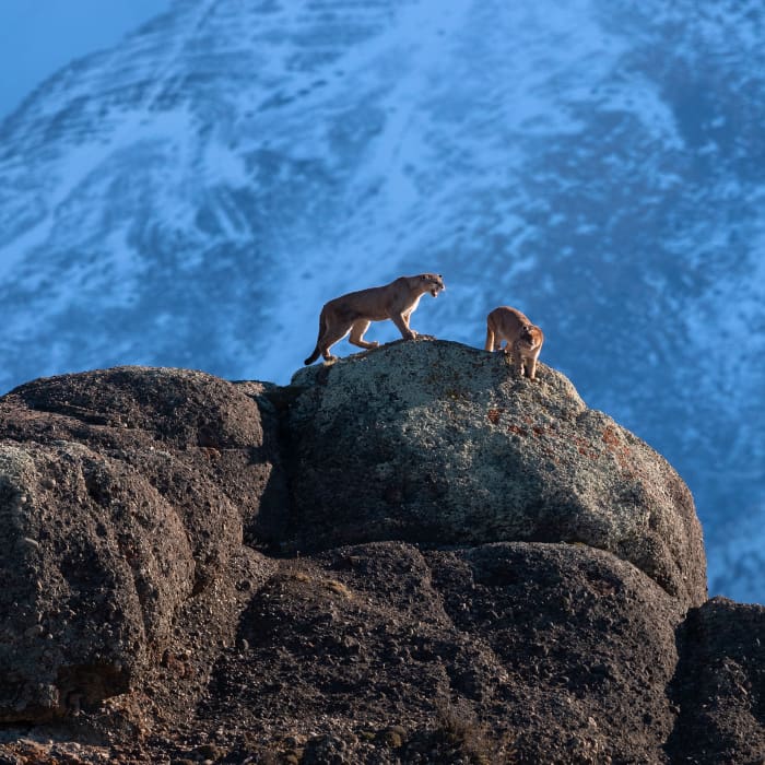 Wolrd Press Photo 2019