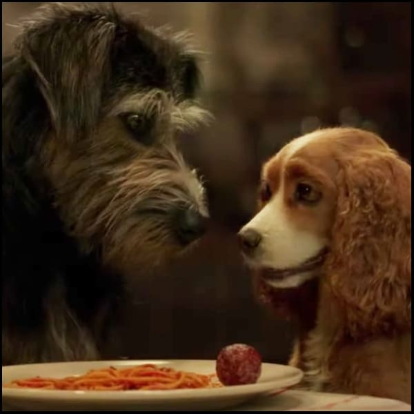 La dama y el vagabundo live-action 