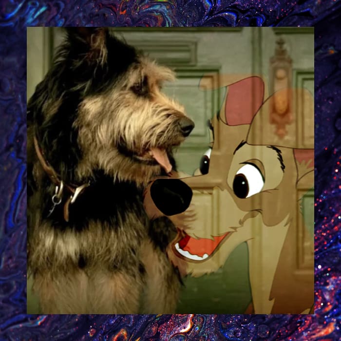 De la calle al cine: La inspiradora historia del perrito Golfo de ‘La dama y el vagabundo’