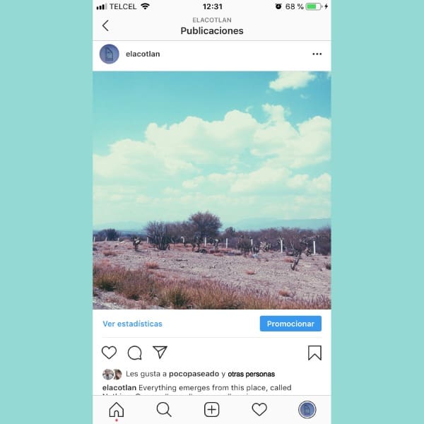 instagram oculta likes