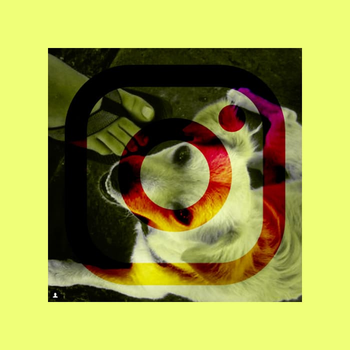 Primera foto Instagram historia