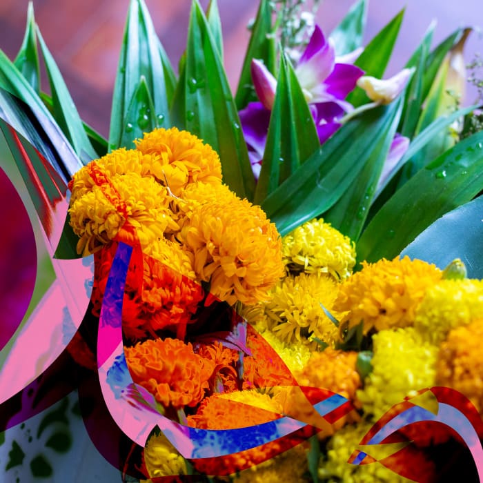 Qué hacer con las flores de cempasúchil