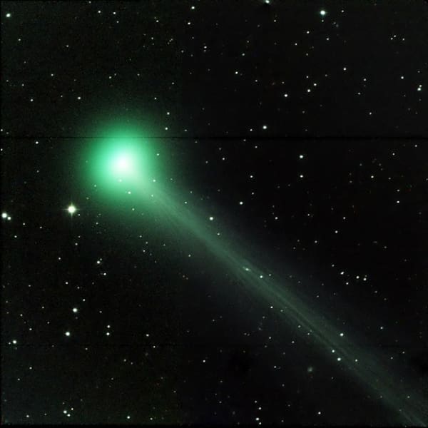 Cometa Swan 