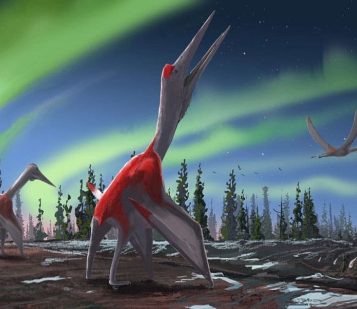 Paleontólogos encontraron el fósil de un dragón de hielo. *Foto vía Cadena Política