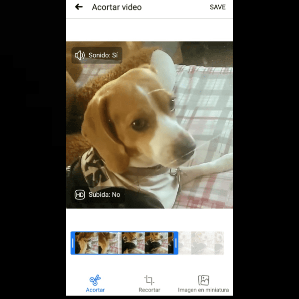 Video perfil Facebook 