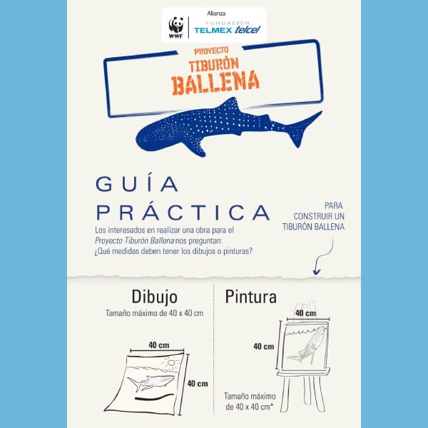 Proyecto Tiburón Ballena