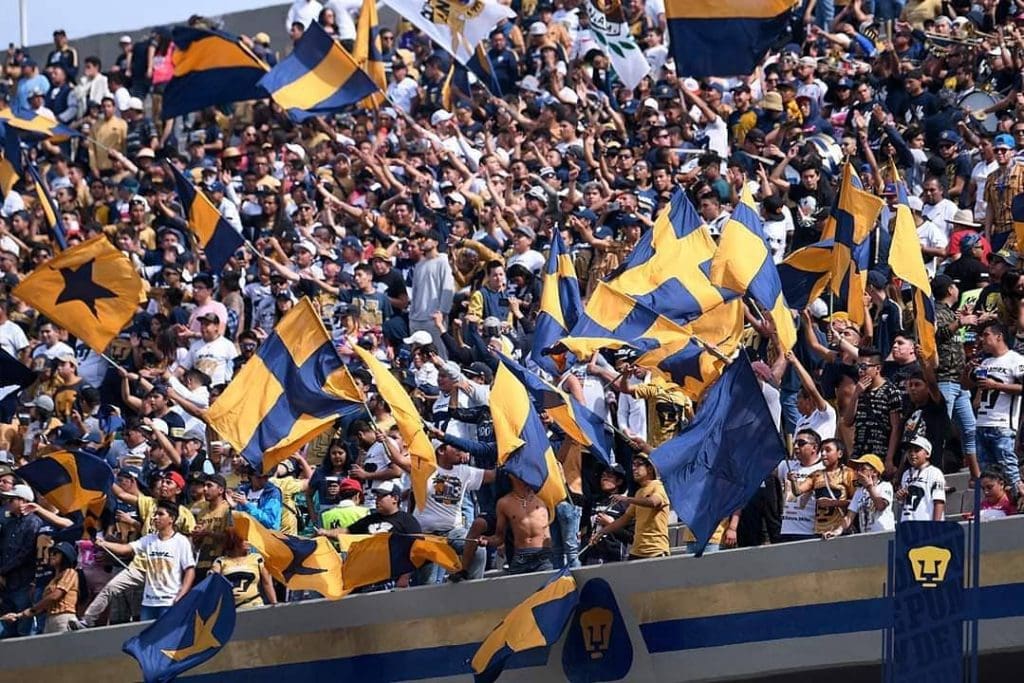 apertura-2020-comienza-el-24-de-julio