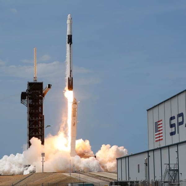 Caimán infiltrado SpaceX NASA