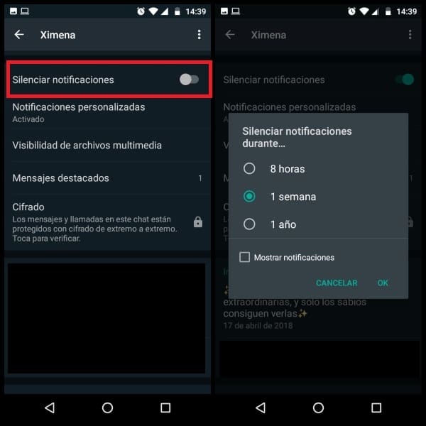WhatsApp privacidad notificaciones 