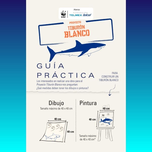‘TIBURÓN BLANCO’: Tú y tu familia podrán ganar increíbles premios al ser parte de este gran proyecto